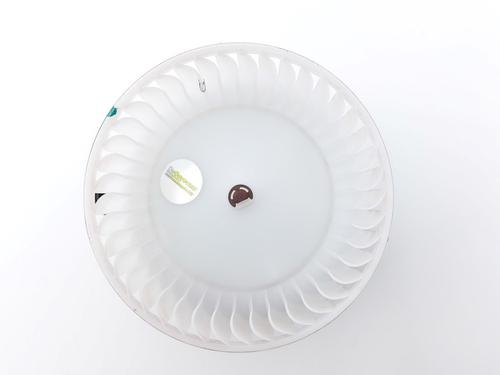 Used Heater blower motor KIA SPORTAGE V (NQ5) 1.6 T-GDi Hybrid (230 hp) 30519817