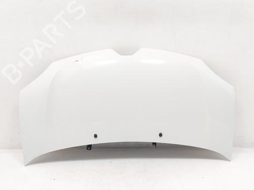 Used Hood RENAULT TWINGO III (BCM_, BCA_) 1.0 SCe 70 (71 hp) 29511921