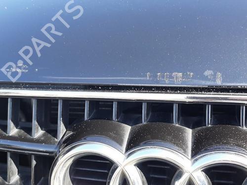 Hood AUDI Q7 (4LB) 4.2 FSI quattro | BP28095631C1