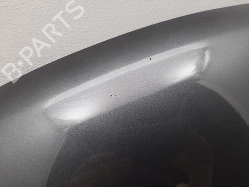 Hood SMART FORFOUR Hatchback (453) 0.9 (453.044, 453.053) | BP19756369C1 
