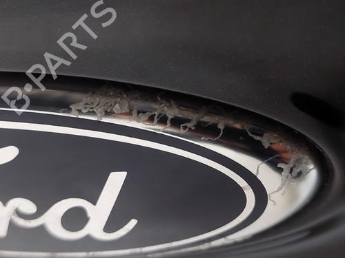 Tailgate FORD FOCUS III 1.0 EcoBoost | BP28524564C6