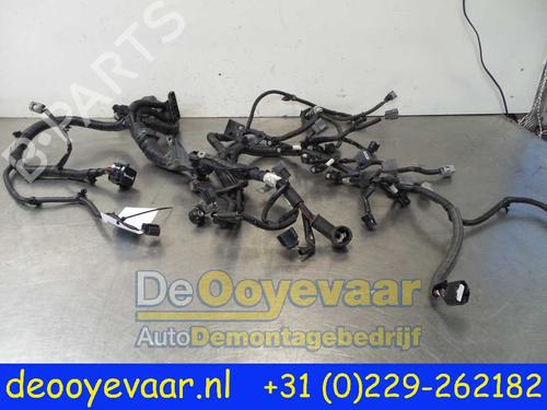 Used Wiring harness NISSAN JUKE (F15) 1.6 (117 hp) 24408779