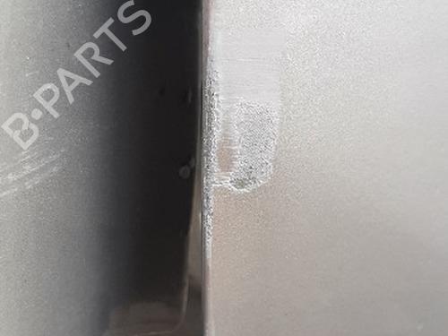 Left front door RENAULT TRAFIC III Van (FG_) 2.0 dCi 120 (FGMN) | BP28017415C2 