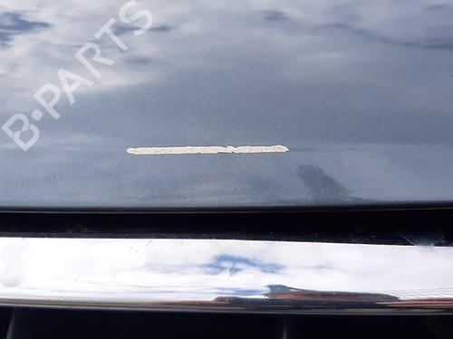 Hood VW TOUAREG (7LA, 7L6, 7L7) 5.0 V10 TDI | BP19769994C1 