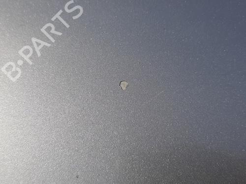 Hood CADILLAC STS 3.6 | BP29954545C1 