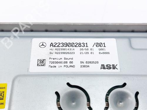 Electronic module MERCEDES-BENZ C-CLASS (W206) C 300 e (206.054) | BP28017308M83 