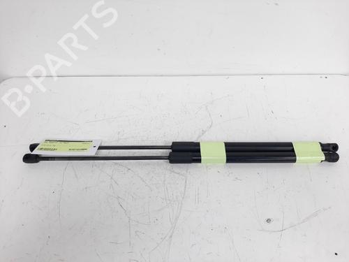 Tailgate lift support FORD FOCUS III 1.6 EcoBoost | BP19757323C138 