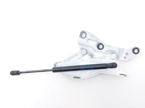 Used Hinge/Door check strap Hinge/Door check strap 37760822 37760822
