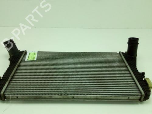 Used Intercooler FORD FIESTA VI (CB1, CCN) 1.25 (82 hp) 19749273