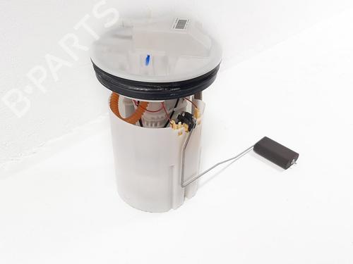 Fuel pump FORD FIESTA VII (HJ, HF) 1.0 EcoBoost | BP19751914M76 
