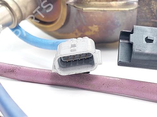 Catalyst NISSAN QASHQAI II (J11, J11_) 1.3 DIG-T | BP31801329M10