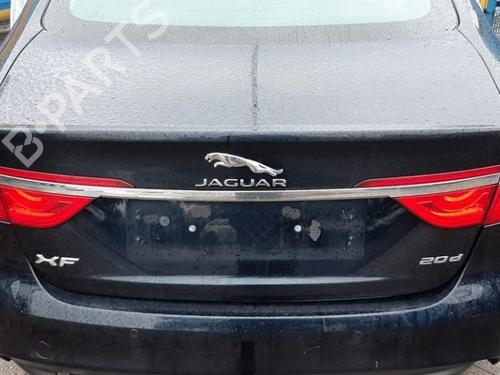 Used Tailgate JAGUAR XF II (X260) 2.0 D (180 hp) 19767842