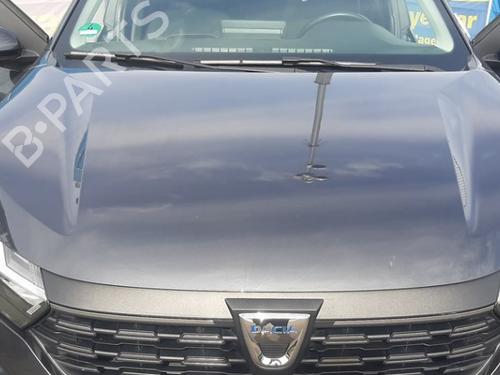 hood-dacia-sandero-iii-2021-39209431 main image