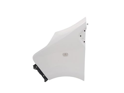 Guarda-lamas esquerdo Guarda-lamas esquerdo RENAULT TRAFIC III Van (FG_) 1.6 dCi 95 (FGMJ, FGMR) (95 hp) 32350654 32350654