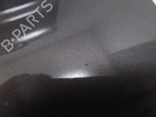 Left front door JAGUAR F-PACE (X761) 2.0 P400e Plug-in Hybrid | BP29044516C2 