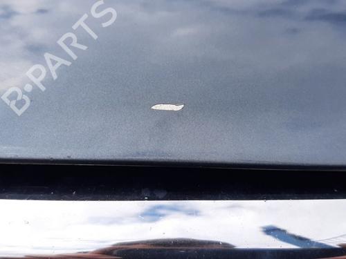 Hood VW TOUAREG (7LA, 7L6, 7L7) 5.0 V10 TDI | BP19769994C1 