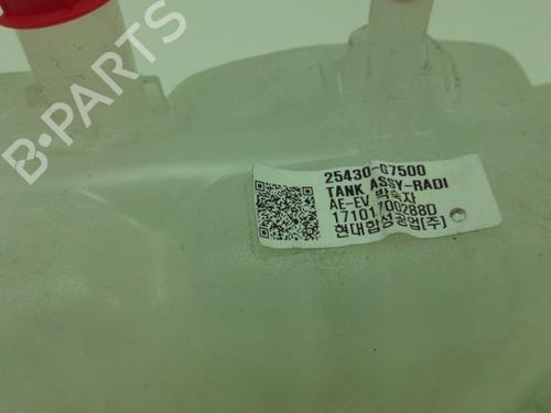 Expansion tank HYUNDAI IONIQ (AE) Electric | BP19755760C120 