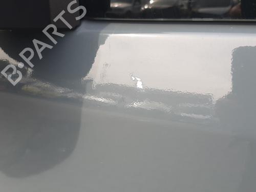 Left front door FIAT DUCATO Van (250_) 120 Multijet 2,2 D | BP29374046C2