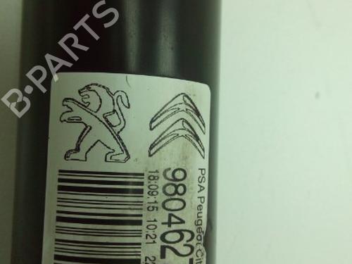 Left rear shock absorber PEUGEOT 208 I (CA_, CC_) 1.2 VTI 82 | BP19756227M18 