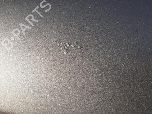 Hood CADILLAC STS 3.6 | BP29954545C1 