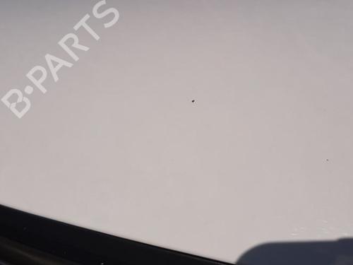 Hood CITROËN C3 III (SX) 1.2 THP 110 (SXHNPS, SXHNZT, SXHNZ6) | BP29183135C1