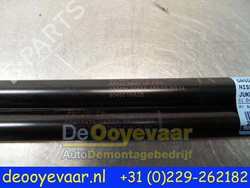 Tailgate lift support NISSAN JUKE (F15) 1.6 | BP23897334C138 