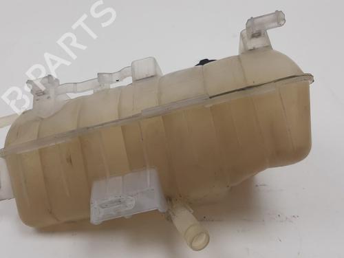 Expansion tank RENAULT KANGOO Express (FW0/1_) 1.5 dCi 75 (FW07, FW10, FW04) | BP22375609C120 