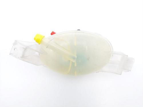 Expansion tank RENAULT MASTER III Platform/Chassis (EV, HV, UV) 2.3 dCi 145 FWD (EV0E, EV0F, HV0E, HV0F, UV0E, UV0F,... | BP19769986C120 