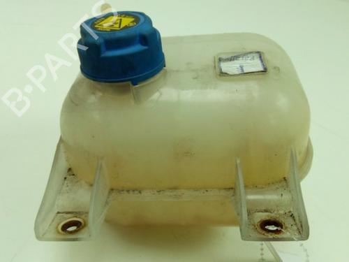 Used Expansion tank FIAT DOBLO Cargo (263_) 1.3 D Multijet (90 hp) 19756168