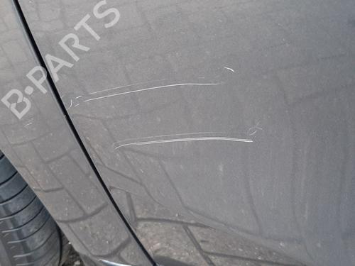 Left front door SMART FORFOUR Hatchback (453) 1.0 (453.042, 453.043) | BP30749667C2