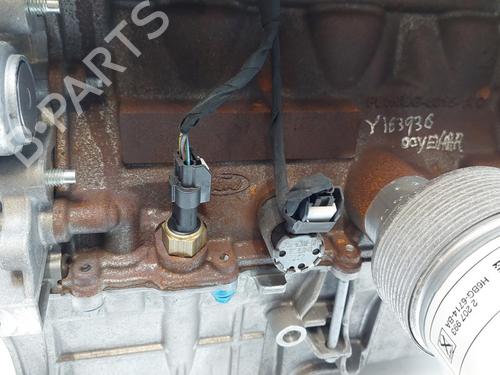 Motor FORD PUMA (J2K, CF7) 1.0 EcoBoost | BP29639116M1 