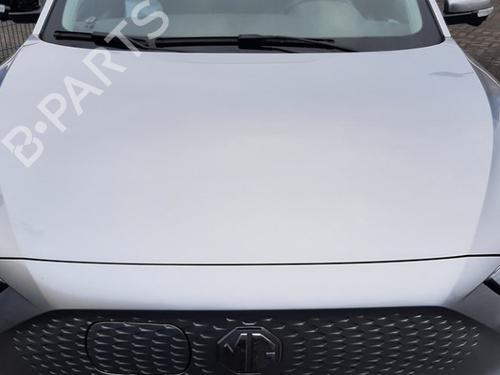 Used Hood MG MG ZS SUV (AZS1) EV (156 hp) 31970170