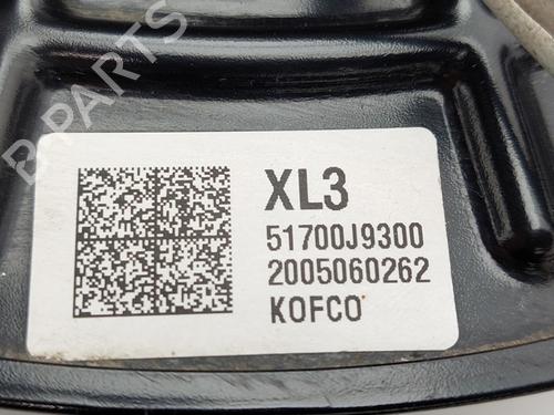Left front steering knuckle HYUNDAI KONA (OS, OSE, OSI) 1.6 GDi Hybrid | BP19763152M25 
