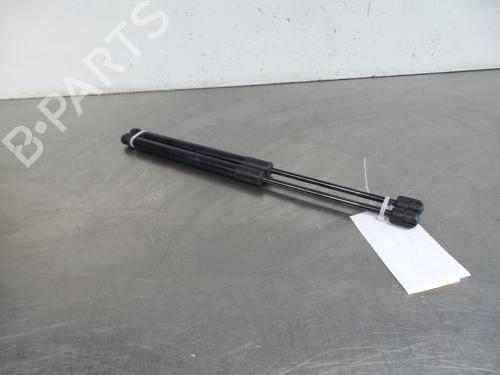 Used Tailgate lift support RENAULT MEGANE III Hatchback (BZ0/1_, B3_) 1.2 TCe (BZ2B, BZ11) (116 hp) 23897361