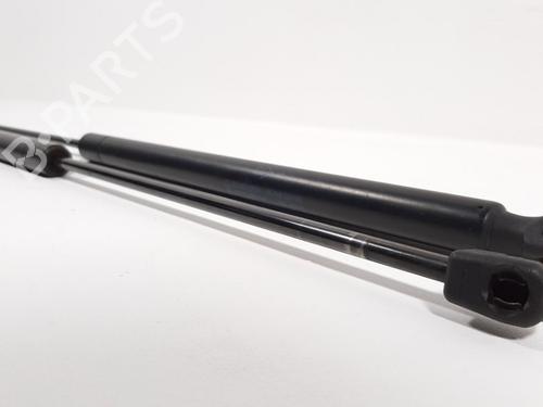 Tailgate lift support FORD KUGA I 2.0 TDCi 4x4 | BP19758599C138 