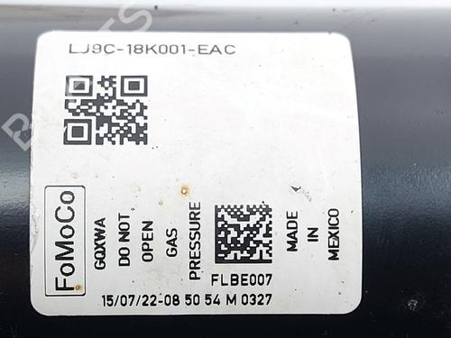 Left front shock absorber FORD USA MUSTANG MACH-E (CGW) EV | BP31863757M16