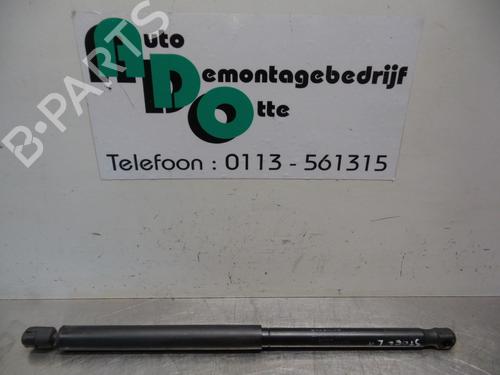 Used Tailgate lift support CITROËN C2 (JM_) 1.4 (73 hp) 19590533