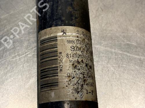 Left rear shock absorber FIAT SCUDO Van (270_, 272_) 2.0 D Multijet | BP29559673M18 