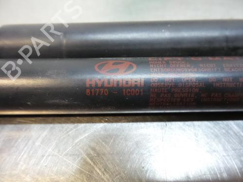 Tailgate lift support HYUNDAI GETZ (TB) 1.1 | BP19609023C138 