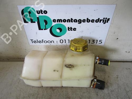 Used Expansion tank FORD KA (RB_) 1.3 i (60 hp) 19587285