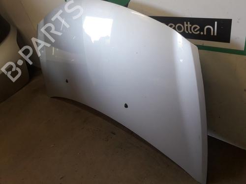 Hood RENAULT CLIO III (BR0/1, CR0/1) 1.2 16V (BR02, BR0J, BR11, CR02, CR0J, CR11) | BP19624888C1 