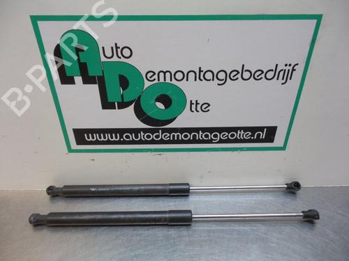 Used Tailgate lift support RENAULT CLIO III (BR0/1, CR0/1) 1.6 16V (BR05, BR0B, BR0Y, BR15, BR1J, BR1M, BR1Y, CR0B,... (112 hp) 19606627