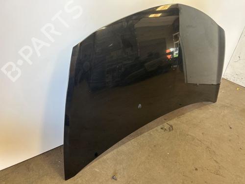 Hood RENAULT CLIO III (BR0/1, CR0/1) 1.4 16V | BP28299946C1 