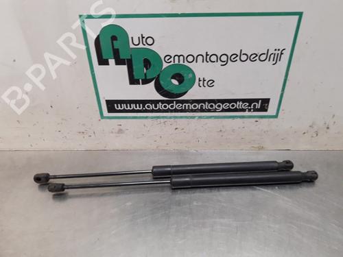 Used Tailgate lift support OPEL ZAFIRA / ZAFIRA FAMILY B (A05) 2.2 (M75) (150 hp) 19613812