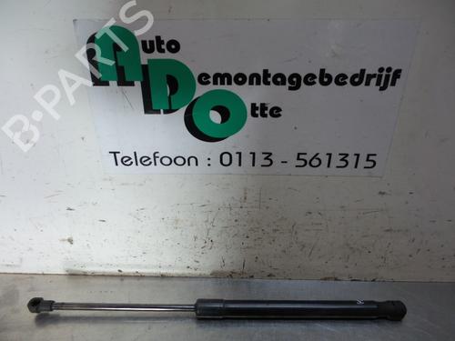 Used Hood lift support VW CADDY III Box Body/MPV (2KA, 2KH, 2CA, 2CH) 2.0 SDI (70 hp) 19595443