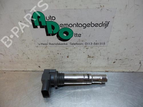 Used Ignition coil SEAT IBIZA IV SC (6J1, 6P5) 1.6 (105 hp) 19601114