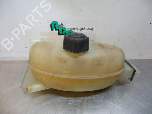 Used Expansion tank OPEL VIVARO A Van (X83) 1.9 DI (F7) (80 hp) 19598287