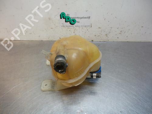 Expansion tank FIAT GRANDE PUNTO (199_) 1.2 | BP19603597C120