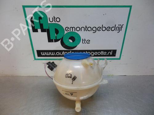 Used Expansion tank VW GOLF PLUS V (5M1, 521) 1.9 TDI (105 hp) 19608841