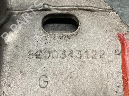 Hinge/Door check strap RENAULT TWINGO II (CN0_) 1.2 (CN0D) | BP19622455C146 